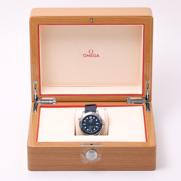 Omega Seamaster Diver 300m 210.22.42.20.03.002